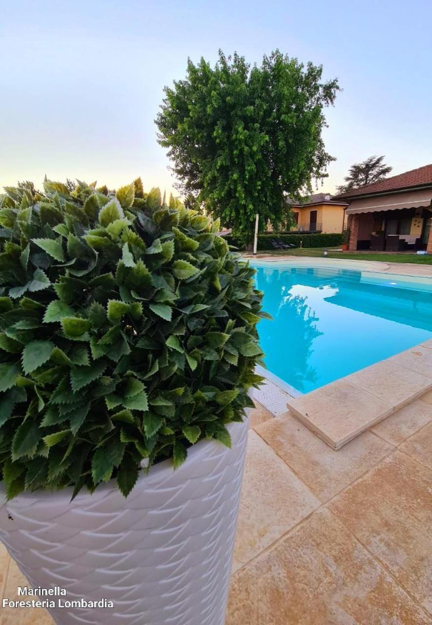 Marinella B&B Cornale Exterior photo